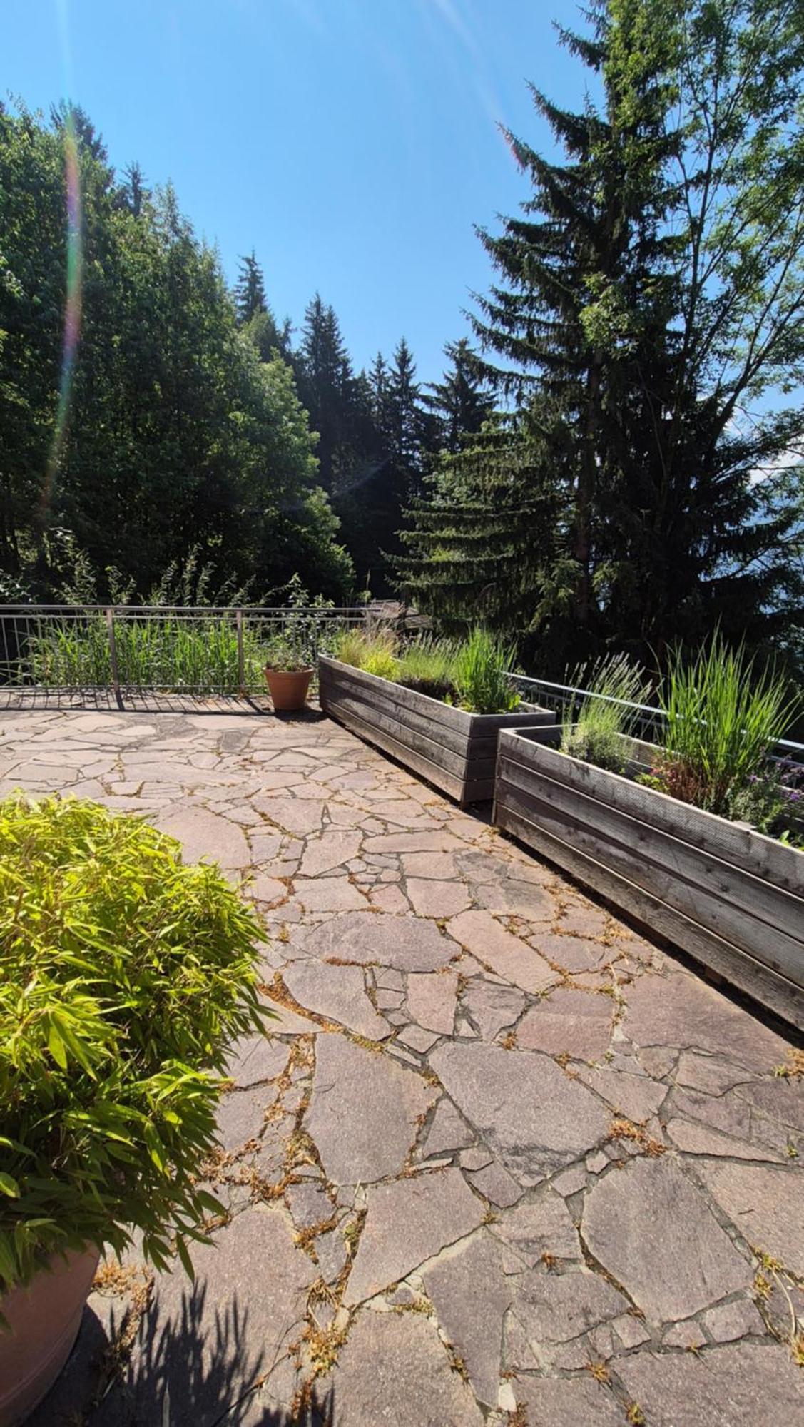 Ferienwohnungen Bergart Iselsberg Exterior photo